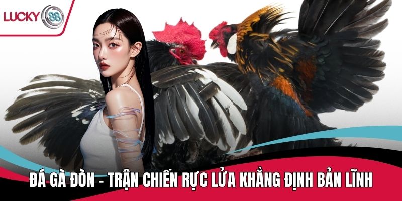 Đá gà đòn