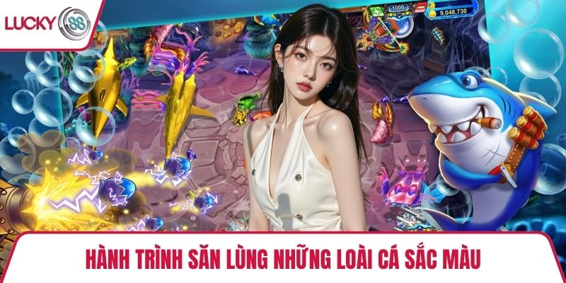Hành trình săn lùng những loài cá sắc màu