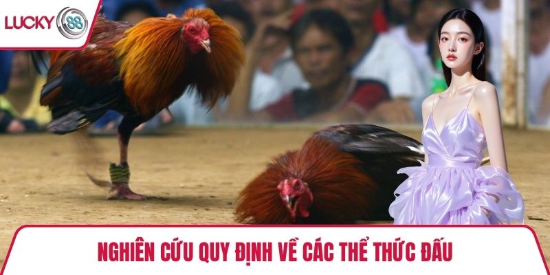 Nghiên cứu quy định về các thể thức đấu